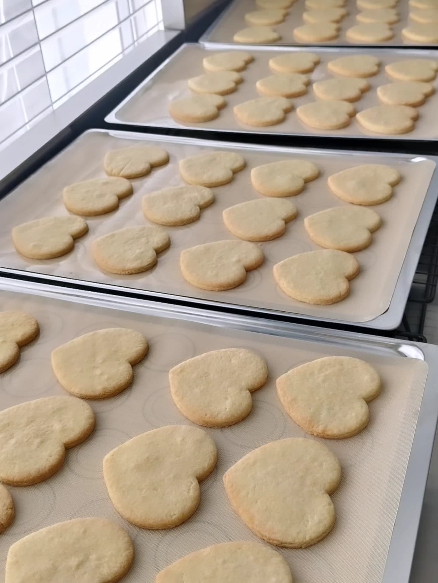 Three dinosaur cookies on black background